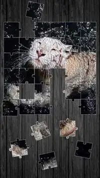 Tigers Jigsaw Puzzle Game Screen Shot 2