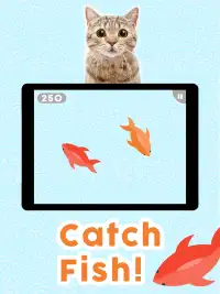 Games for Cats! - Cat Fishing Mouse Chase Cat Game Screen Shot 0