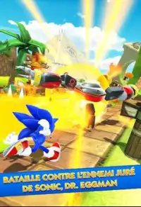 3D Sonic Adventure Run Screen Shot 2