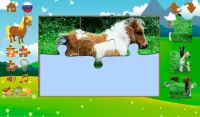Puzzles pony Screen Shot 2