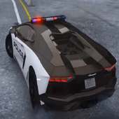 Real Sunny Police Car Simulator 2019 3D