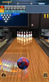 Real Bowling 3D World Champions Game Screen Shot 0