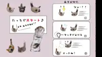 タッチでニャ♪～シャー！のぎゃくしゅう～猫ネコねこアクション Screen Shot 1