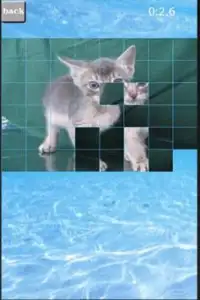 puzzle(cat) Screen Shot 1