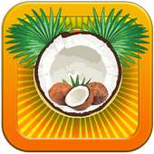 Coconut Shoot