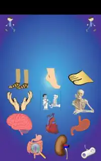 Body Parts For Kids Screen Shot 2