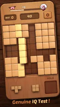 Wood Block Puzzle 3D Screen Shot 3
