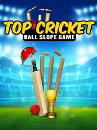 Top Cricket Ball Slope Game Screen Shot 6