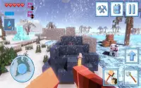 Survival 3D Winter Block Screen Shot 0