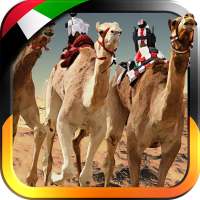 アラブ首長国連邦キャメルレーシング - 無料ゲーム