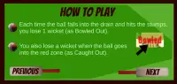 Cricket Twenty20 : Pinball Challenge Screen Shot 3