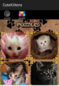 Kitten Sounds and Puzzles Free Screen Shot 2