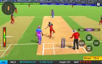 Indian T20 Cricket League 2022 Screen Shot 20