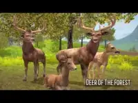 Deer of the Forest Screen Shot 1