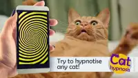 Cat Hypnosis. Simulator Screen Shot 0