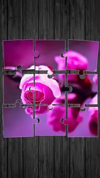 Roses Jeux De Puzzle Screen Shot 0