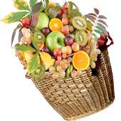 Pick up favorite fruits