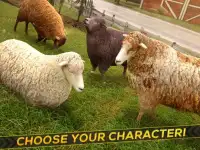 Sheep Racing Adventure Game 3D Screen Shot 7