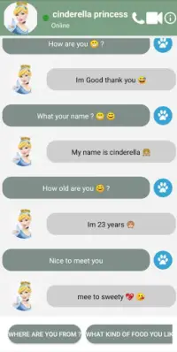 cinderella Princess fake Video Call and Chat Screen Shot 2