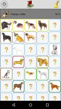 Dog Breeds (quiz) Screen Shot 0