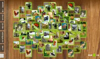 Mahjong Fauna-Animal Solitaire Screen Shot 14