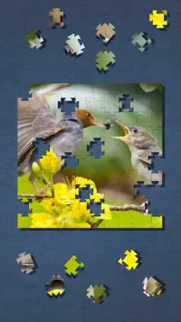Cute Bird Puzzle - Simple Jigsaw Puzzle Screen Shot 5