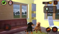 Simulador de perro Dachshund Screen Shot 15