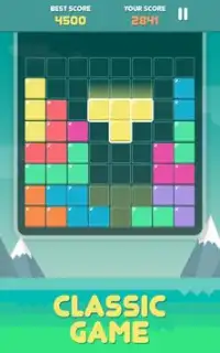 Pro Block Puzzles Screen Shot 1