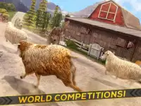 Sheep Racing Adventure Game 3D Screen Shot 5