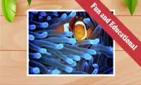 Fish Breeding Games: Kids Screen Shot 3