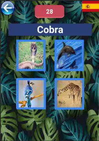 Aprender los nombres de los animales |  10 idiomas Screen Shot 1