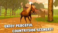 Farm Pony Horse Ride 3D Screen Shot 1
