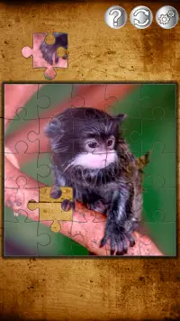 Puzzle Zwierzęta Dziecko Screen Shot 6