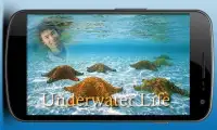 Underwater Life Photo Frame Screen Shot 4