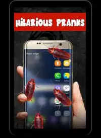 Barata no telefone Prank - Piada assustadora Screen Shot 6
