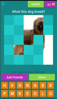 Dog Breeds Quiz Screen Shot 2