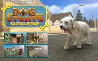 Hund Stunts & Simulator 3D - Crazy Dog Spiele Screen Shot 9