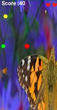 Lady Butterfly Screen Shot 2