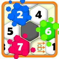 Hexa Puzzle Game | Puzzle Games with Levels