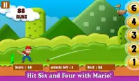 Mario Cricket World Screen Shot 6