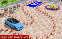 Luxury Extreme Car Parking Mania Screen Shot 2