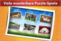 Puzzlespiel mit Hunde Kinder Screen Shot 6