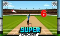 Super Cricket Championship Screen Shot 5