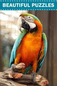 Amazing Birds - Jigsaw Puzzles Screen Shot 0