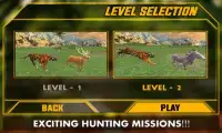 Wild Jungle Tiger Attack Sim Screen Shot 3