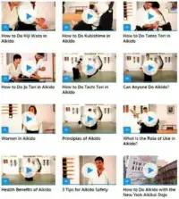 Aikido Lessons Screen Shot 2