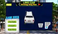 Limo Car Driving City Sim Screen Shot 13