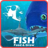 FEED AND BATTLE: GROW FISH SIMULATOR