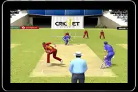 Cricket Games 2017 New Free Screen Shot 1