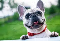 Teka-teki Jigsaw Anjing 🧩🐕🧩🐶🧩 Screen Shot 1